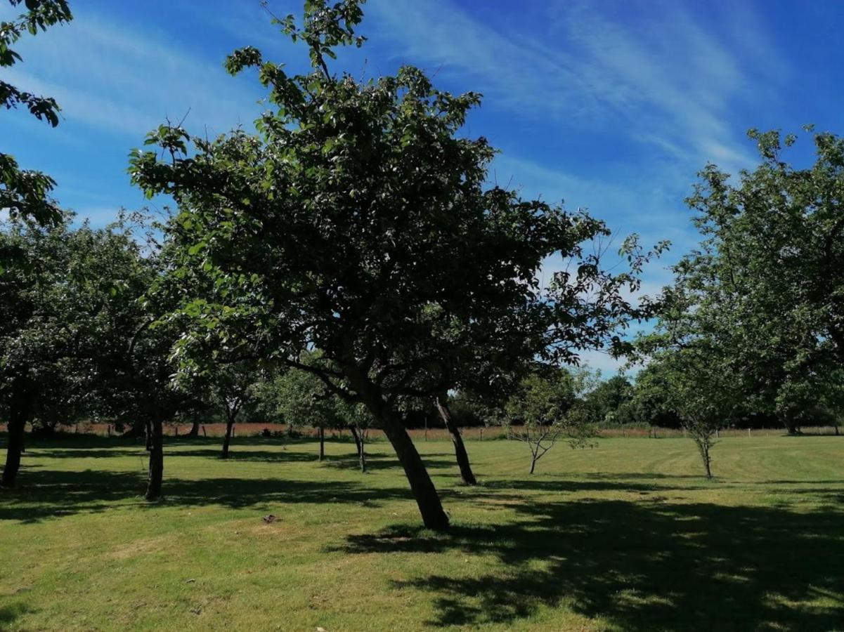 Gite La Rocherie Hambers Exterior foto